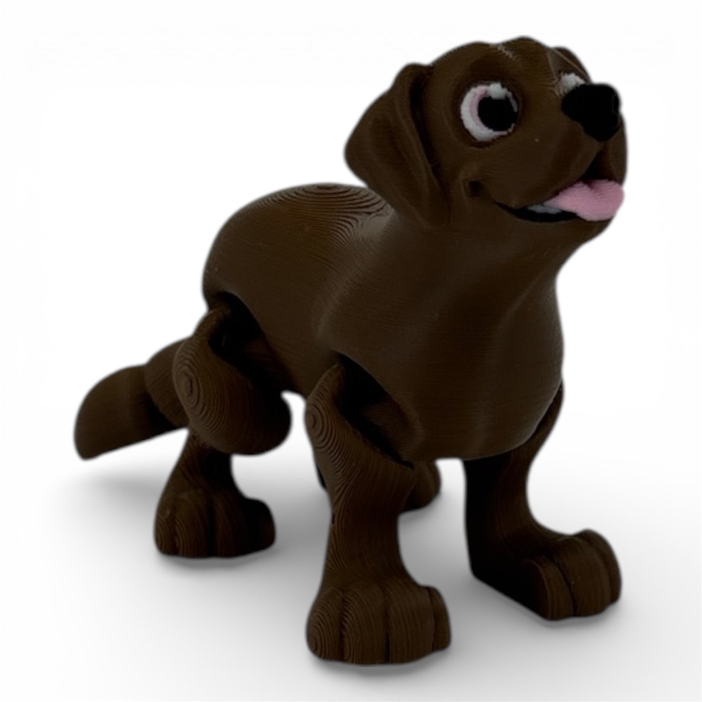 Brown labrador dog flexi with a happy expression on a white background