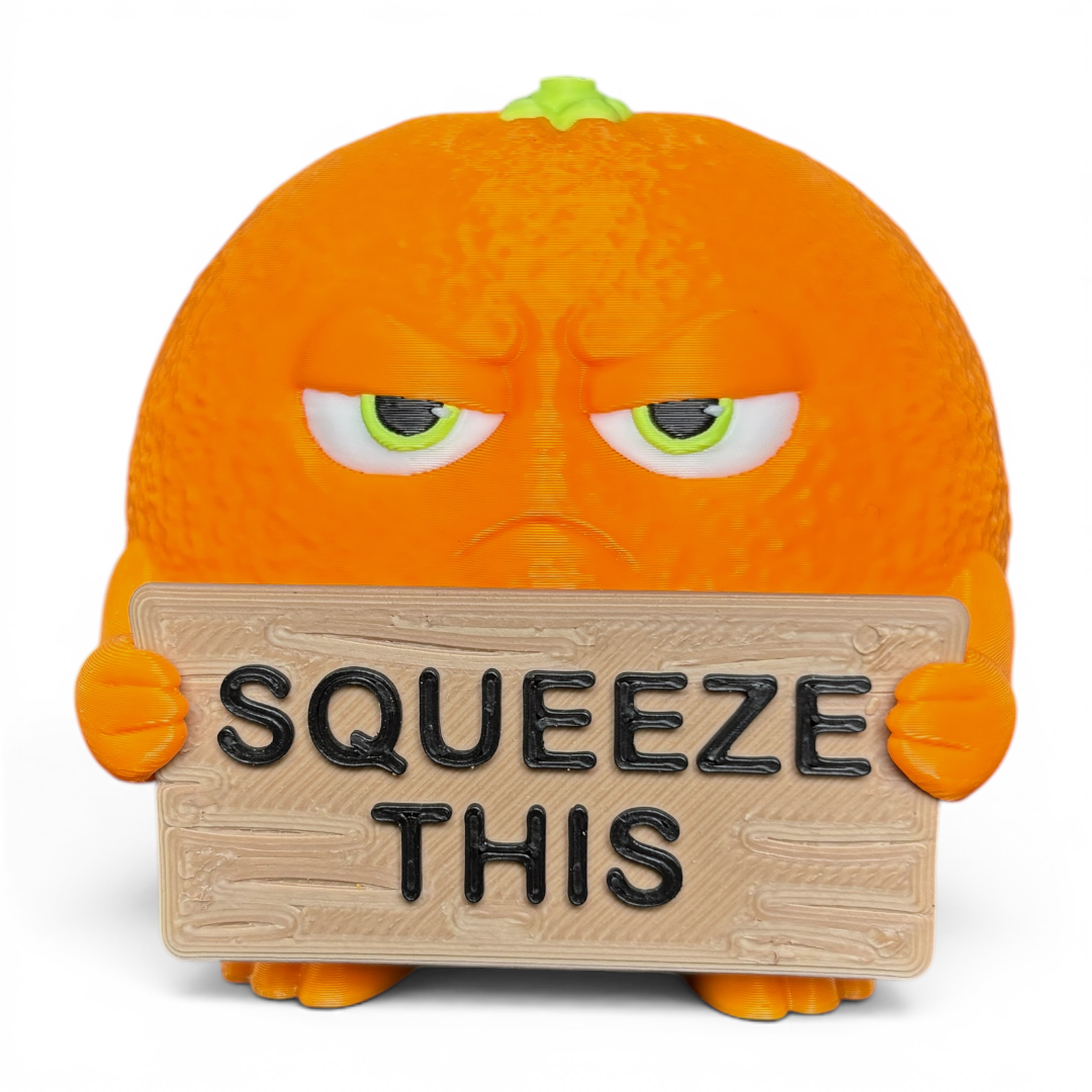 Animals With A Serious Attitude Desk Decor Figurines Holding Rude Sarcastic Humor Signs